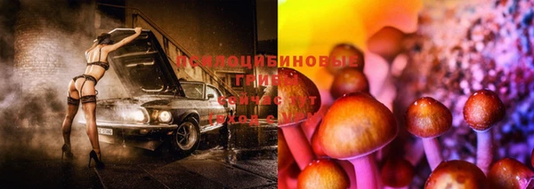 гидропоника Алексеевка